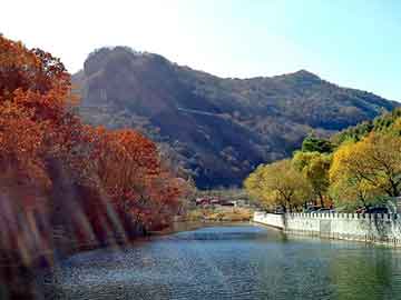 新澳天天开奖资料大全旅游团，汽车论坛